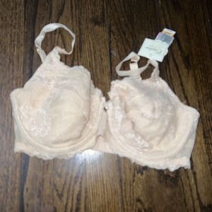 NWT Couture By Cabernat Lace Lines Underwire Bra Nude Beige 36DD